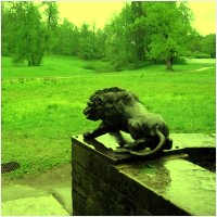 Павловский парк, фотографии лета 2006, откопал :) дождь тогда шел, но все равно красиво     надо будет обязательно этим летом съездить, выбрать солнечный денек и нащелкать на новый фотик   из путеводителя: Павловский парк уже давно пользуется славой лучшего пейзажного парка в Европе. Поэтичный и бесконечно разнообразный, он, по словам французского писателя начала XIX века Сен-Мора, отвечает "всем вкусам и всем настроениям души"