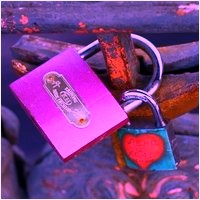 Замкам НЕТ (акция по снятию замков с мостов Петербурга), Традиция вешать свадебные замки на фонари и ограды мостов пришла к нам год назад из Италии, но уже приобрела характер эпидемии. Молодожёны целенаправленно и сознательно уродуют архитектурный облик любимых городов.

22 ноября камрад Андрей во второй раз собрал команду и мы пошли срезать замки с Мало-Конюшенного моста.
На его сайте Против замков можно почитать поподробнее об этой напасти. Я немного фотографировал в перерывах между работой болторезом, за часть фотографий спасибо Марии
Видео с прошлой акции можно глянуть тут