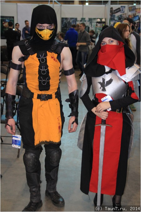 Mortal kombat и девушка-рыцарь