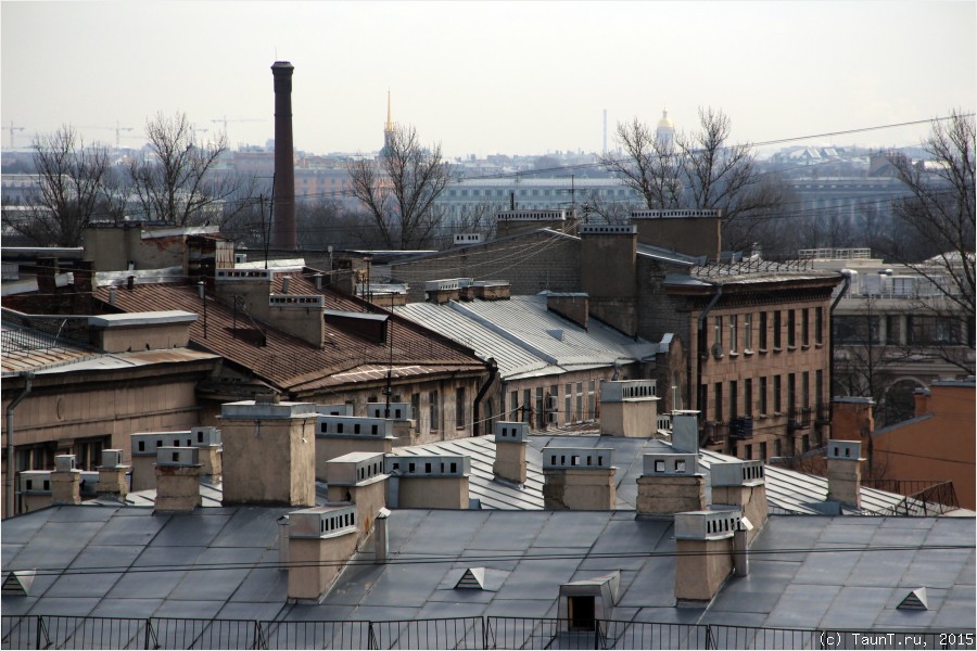 Питерские крыши