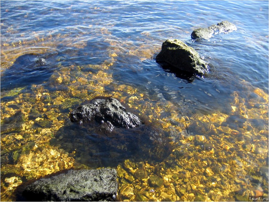 лето - Немного солнца в холодной воде