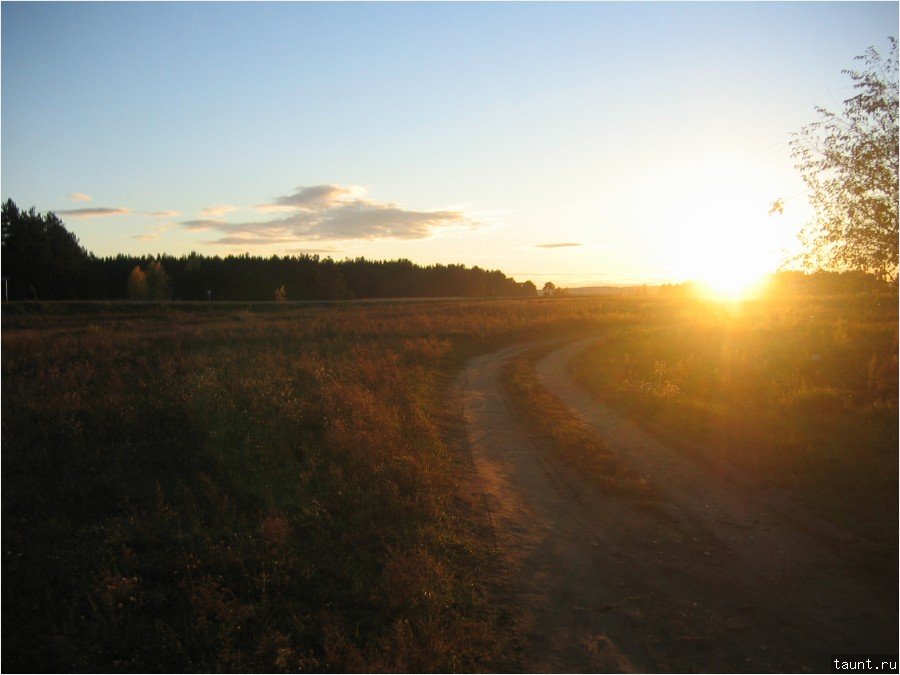 Минусинск 2005 - вечножелтая трава