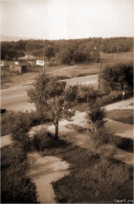 старое фото - Дуб