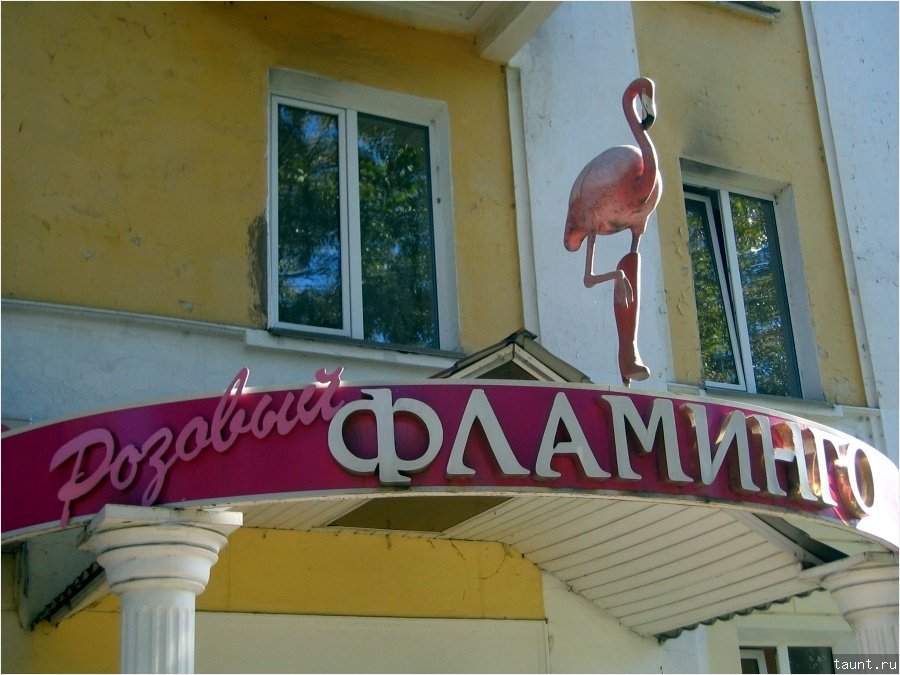 Абакан 2005 - Розовый фламинго