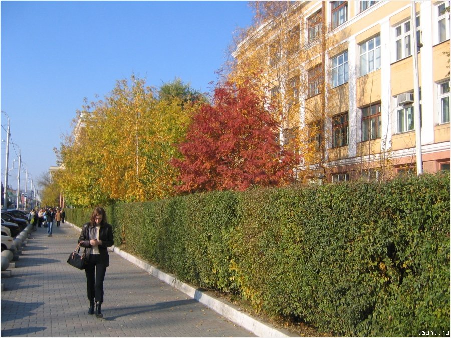 улица - Центральная улица